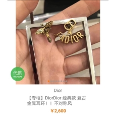 Christian Dior Earrings